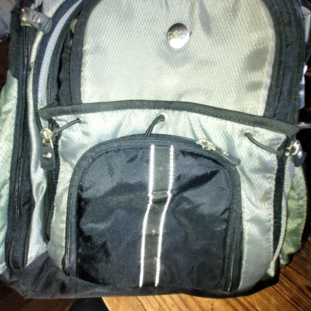 Dell lap top backpack
